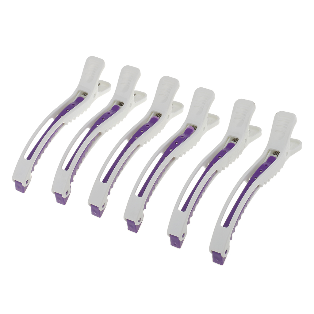 6PCS Pro Hairdressing Salon Se - đánh giá và giá Crocodile Clip Set